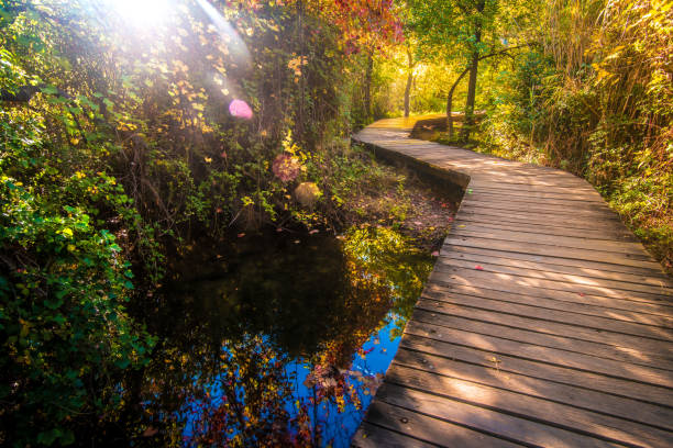 Wooden pathway in national park Krka, Croatia Wooden pathway in national park Krka, Croatia landscape stream autumn forest stock pictures, royalty-free photos & images