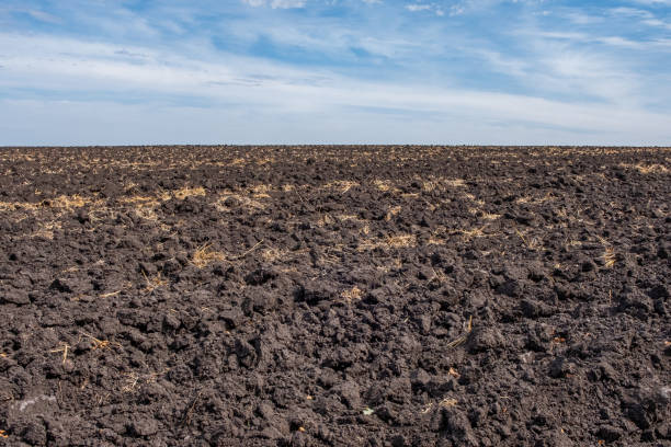 istock Blue sky and plowed field 1367641140