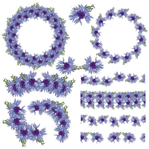 Vector illustration of A set of frames, wreaths, dividers and borders of blue cornflowers for decoration and creativity