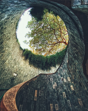 Look up at a circular staircase and trees