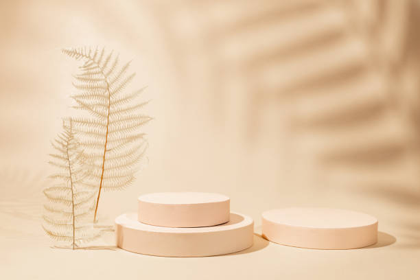 istock Abstract background with geometric podiums or pedestals for products presentation or exhibitions. Empty cylinder podiums on pastel backdrop. Shadows of palm leaves on wall 1367646504