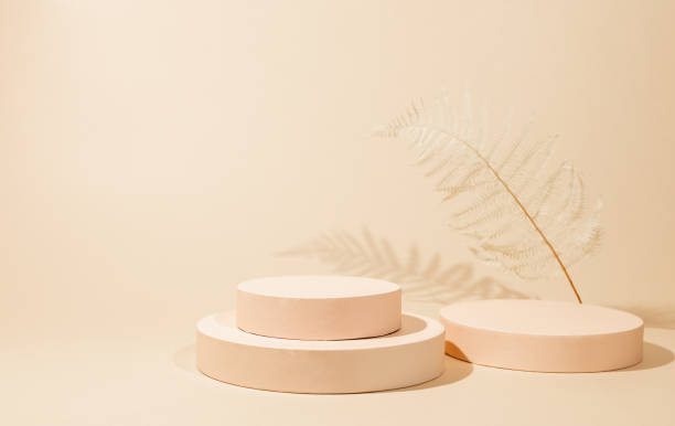 istock Abstract background with geometric podiums or pedestals for products presentation or exhibitions. Empty cylinder podiums and dried plant on pastel backdrop. 1367646531