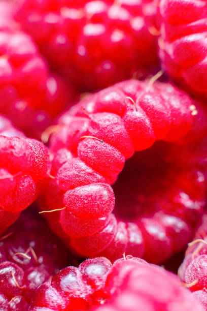 istock Macro of ripe red raspberry. Food background. Close-up. 1367648707