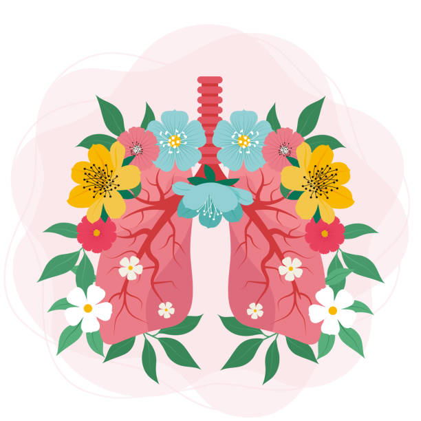 花のイメージを持つ肺。ベクターイラスト、健康な肺の概念人々 - pulmonary valve点のイラスト素材／クリップアート素材／マンガ素材／アイコン素材