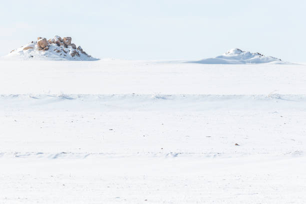 istock Stones at wild in winter 1367654047