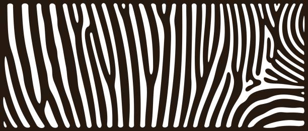 Zebra texture logo. Isolated zebra texture on white background EPS 10. Vector illustration zebra print stock illustrations