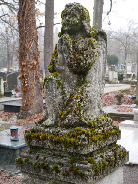 istock Angel statue in the public cemetery 1367654799