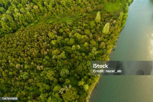 Aerial View Of River Flowing Next To Forest Stock Photo - Download Image Now - New Zealand, Bush, Forest