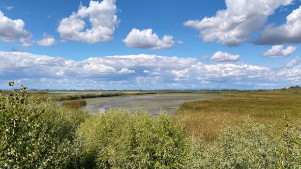 istock Clouds in the sky over Hortobagy, Hungary 1367654814