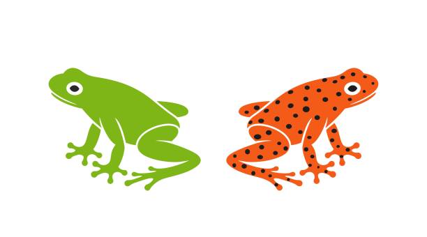 Frog logo. Abstract frog on white background EPS 10. Vector illustration amphibian stock illustrations