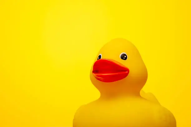 Rubber ducky in the bathtub. Yellow Duck made of plastic in the tub. Child playing toy in the bathroom.