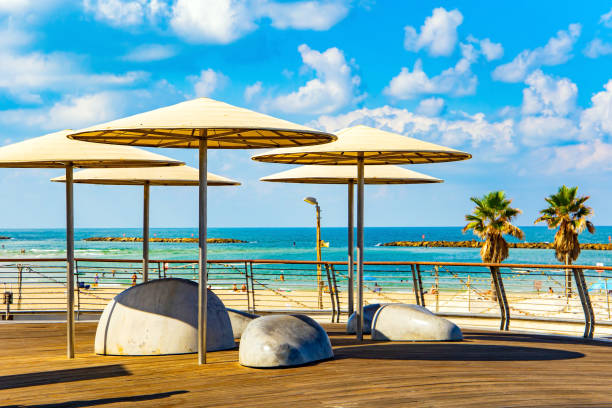 istock The umbrellas protect from the hot sun 1367658321