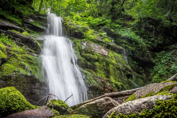istock Beautiful waterfall in a pristine wilderness in Serbia 1367659612