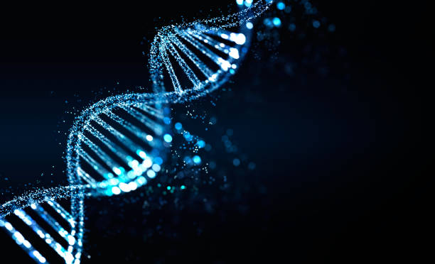 Blue DNA illustration with bokeh lights, genetic medicine and innovation Blue DNA on black background. Dna structure and cells, bokeh lights. Concept of biotechnology and science, genetic material. 3D rendering dna stock pictures, royalty-free photos & images