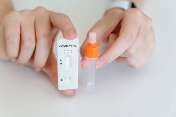 istock Hands holding Covid-19 rapid antigen test kit ready to use. Tube and test cassette with specimen 1367660609