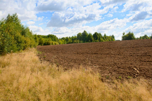istock Summer landscape with a plowed field and forest on a hill 1367660962