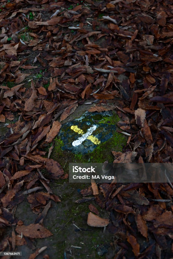 White and yellow x-mark on stone on the ground for short haul wrong way Abstract Stock Photo