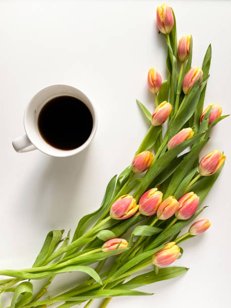istock Red-yellow tulips on a light background 1367663486