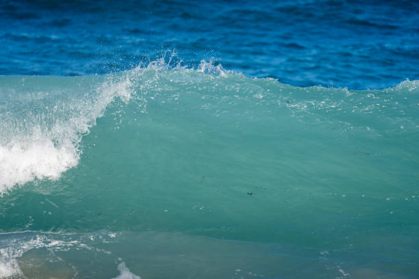 Nature landscape ocean shore waves crashing on the beach
