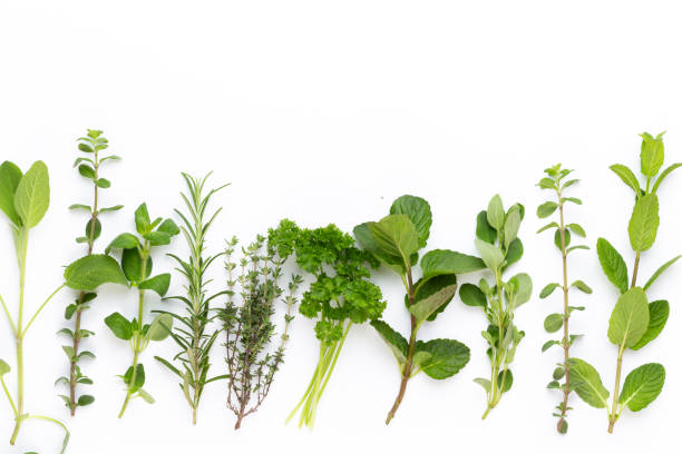 istock Herbal spice on a white background. Top view. 1367663862