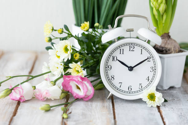 istock Spring change, Daylight Saving Time concept. White alarm clock and flowers on the wooden table 1367666540