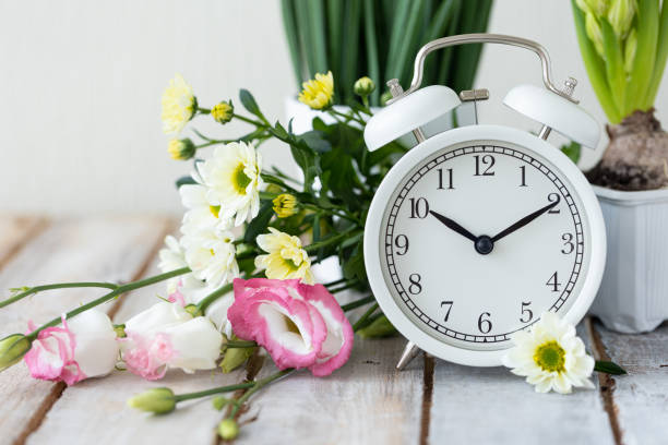istock Spring change, Daylight Saving Time concept. White alarm clock and flowers on the wooden table 1367666544