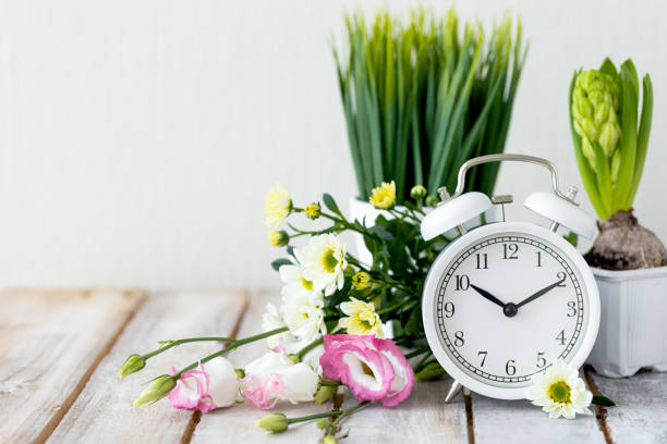 istock Spring change, Daylight Saving Time concept. White alarm clock and flowers on the wooden table 1367666558