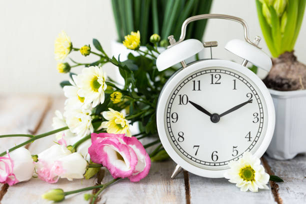 istock Spring change, Daylight Saving Time concept. White alarm clock and flowers on the wooden table 1367666588