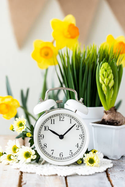 istock Spring change, Daylight Saving Time concept. White alarm clock and flowers on the wooden table 1367666741