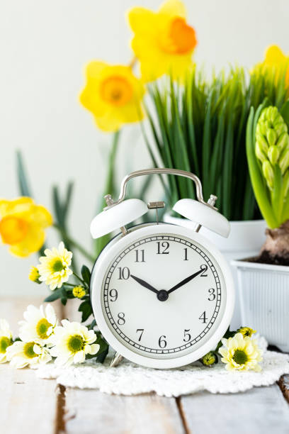istock Spring change, Daylight Saving Time concept. White alarm clock and flowers on the wooden table 1367666752