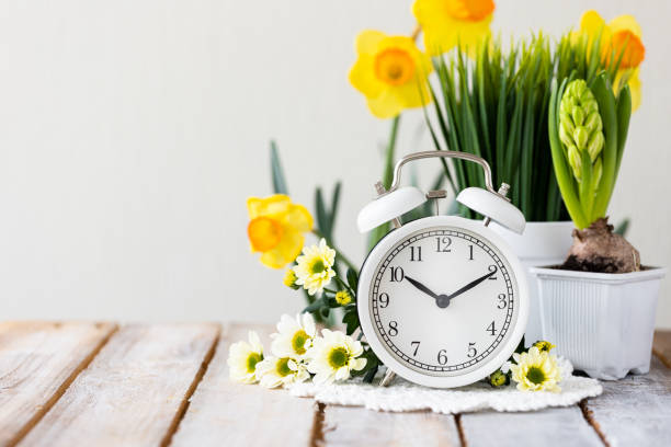 istock Spring change, Daylight Saving Time concept. White alarm clock and flowers on the wooden table 1367666764