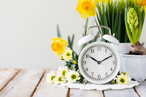 Gray clock in grass with maple leaves. Daylight savings time. Clocks fall back