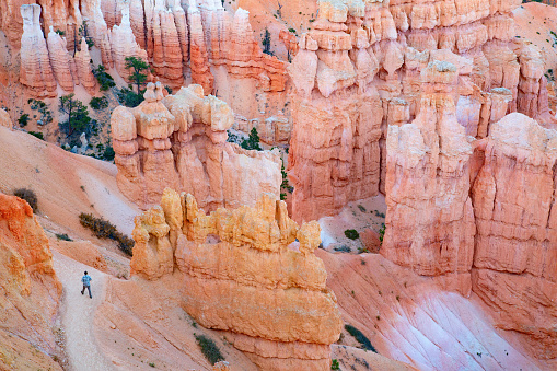 Bryce canyon national park in Utah, USA