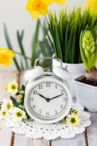 istock Spring change, Daylight Saving Time concept. White alarm clock and flowers on the wooden table 1367666900
