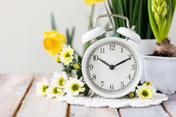 istock Spring change, Daylight Saving Time concept. White alarm clock and flowers on the wooden table 1367666906