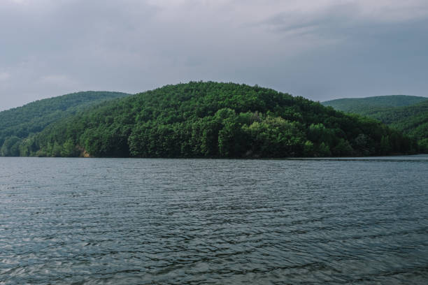 istock Lake with forest and water ripples on sunny spring day 1367667880