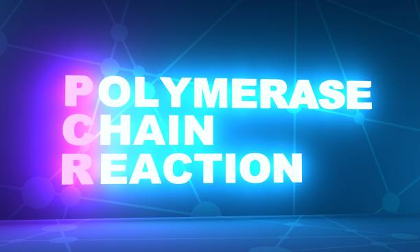 istock PCR - Polymerase Chain Reaction acronym. Neon shine letters. 3D Render 1367673839