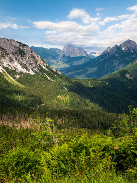 istock Beautiful mountain valley in dolomites 1367676313
