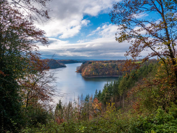 istock Lake in beautiful forest landscape 1367676339
