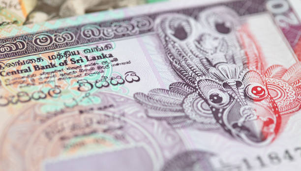 istock Banknotes of the Sri Lanka 1367676349