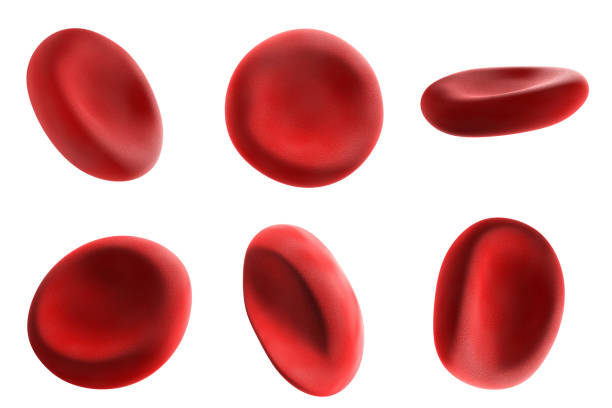 Red blood cells, a medical concept. 3d render Red blood cells on a white background. Scientific and medical concept. 3d illustration blood cell stock pictures, royalty-free photos & images
