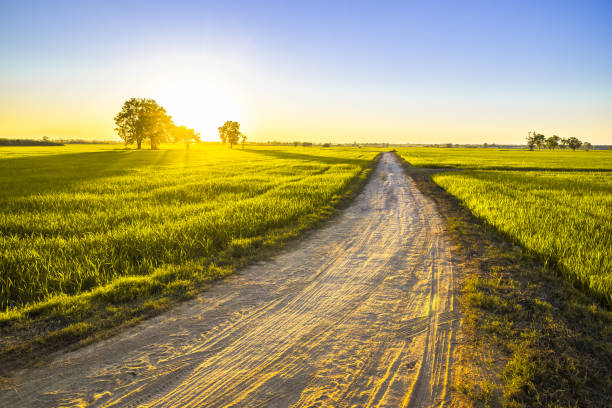 istock Road to the sunset field 1367679398