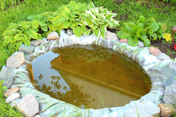 istock A small decorative pond in the garden. Close-up. 1367679762