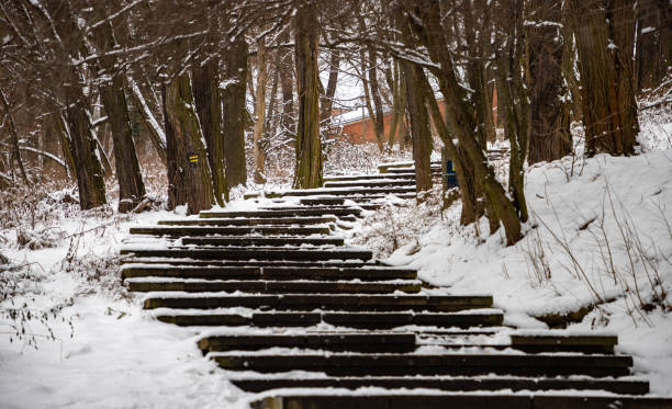 istock Stairs in the Winter 1367681127