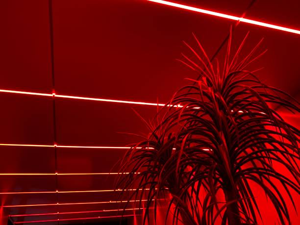 istock Red neon lighting glowing at club corridor 1367682168