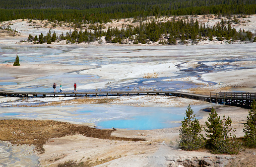 Beautiful nature: a landscape with a geyser in the Yellowstone National Park, blue sky, green forest, green grass and a white and colorful sand.