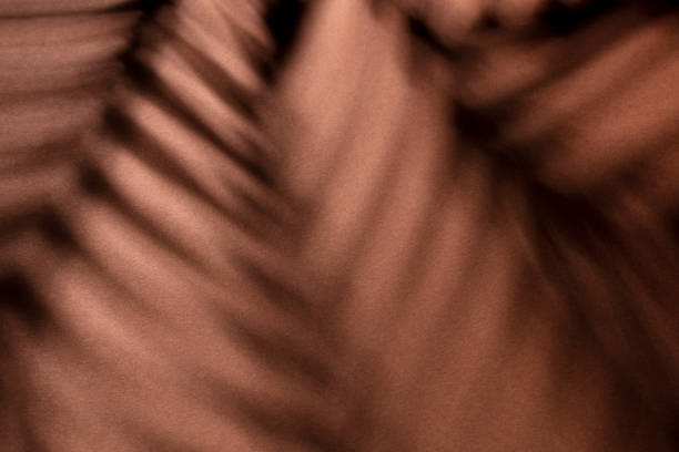istock Palm leaves and shadows on a color wall background. 1367690969