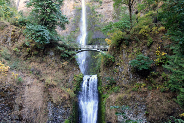 istock Multnomah Falls in  Columbia River Gorge, Oregon 1367691048