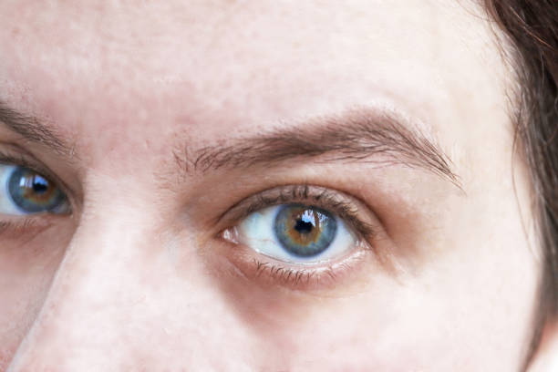 istock Close-up of the eyes. Surprised look, raised eyebrow 1367691721
