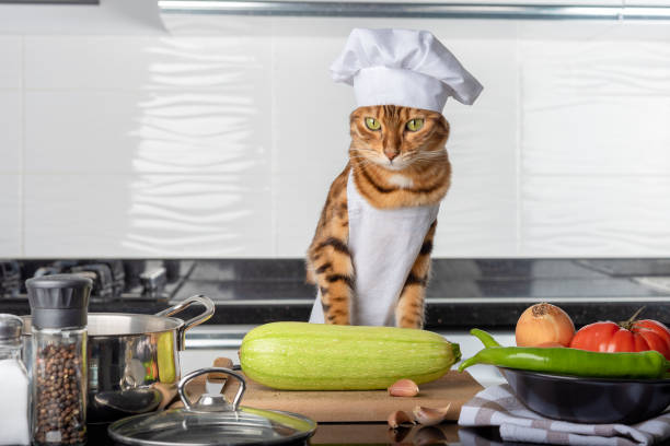 istock Bengal cat in the kitchen dressed as a chef. 1367694684